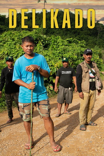 Póster de Delikado
