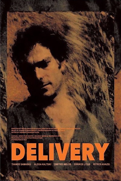 Póster de Delivery