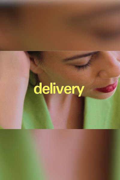 Póster de Delivery
