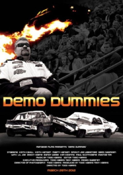 Póster de Demo Dummies