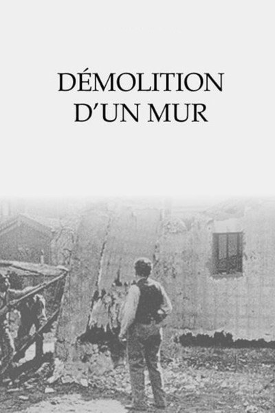 Póster de Demolition of a Wall