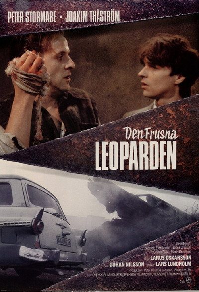 Póster de Den frusna leoparden