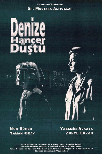 Póster de Denize Hançer Düstü