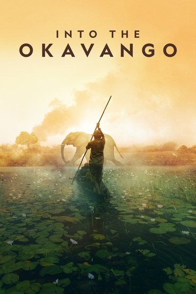 Póster de Dentro del Okavango