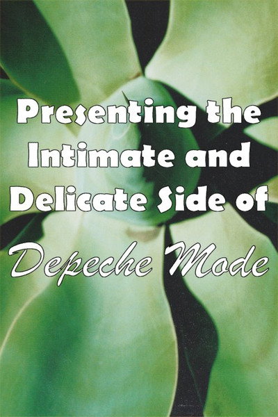 Póster de Depeche Mode: 1999-2002 (Presenting the Intimate and Delicate Side of Depeche Mode)