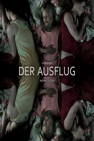 Póster de Der Ausflug