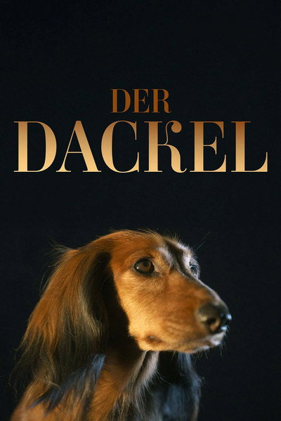 Póster de Der Dackel