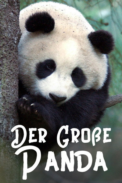 Póster de Der Große Panda