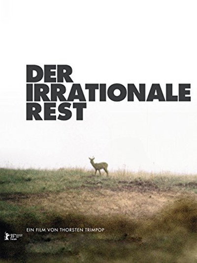 Póster de Der irrationale Rest