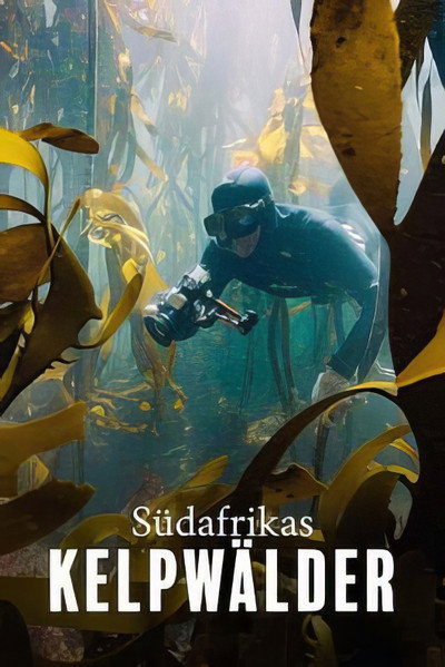 Póster de Der Kelpwald - Südafrikas geheimnisvolle Unterwasserwelt