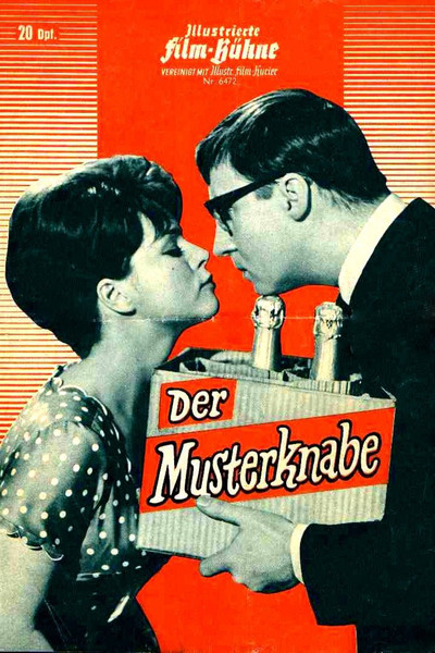 Póster de Der Musterknabe