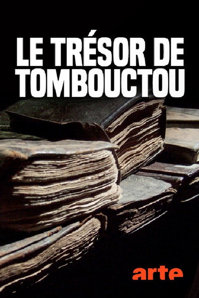Póster de Der Schatz von Timbuktu, die geschichte einer rettung