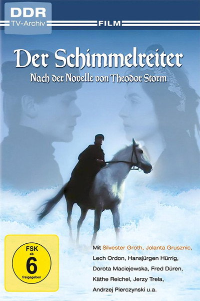 Póster de Der Schimmelreiter