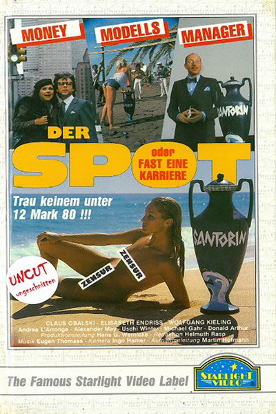 Póster de Der Spot oder Fast eine Karriere