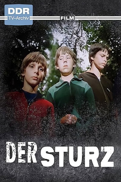 Póster de Der Sturz