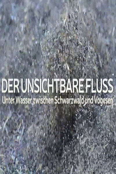 Póster de Der unsichtbare Fluss - Unter Wasser zwischen Schwarzwald und Vogesen