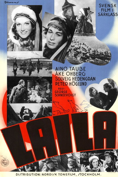 Póster de Der var engang en vicevært