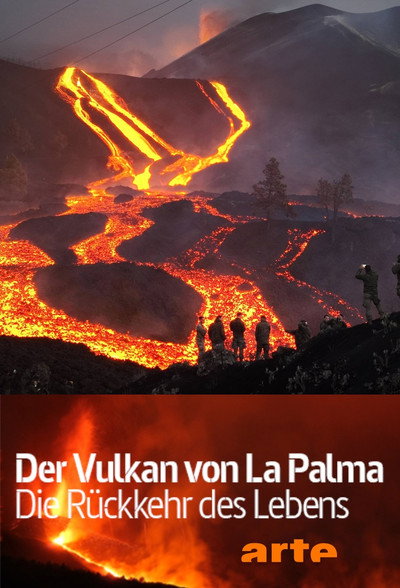 Póster de Der Vulkan von La Palma: Die Rückkehr des Lebens