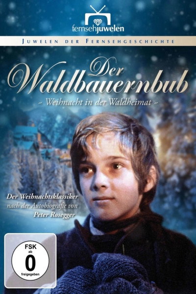 Póster de Der Waldbauernbub