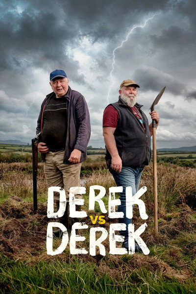 Póster de Derek vs Derek