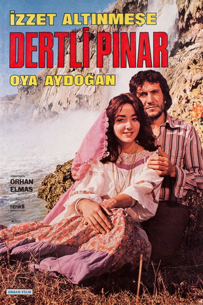 Póster de Dertli Pinar