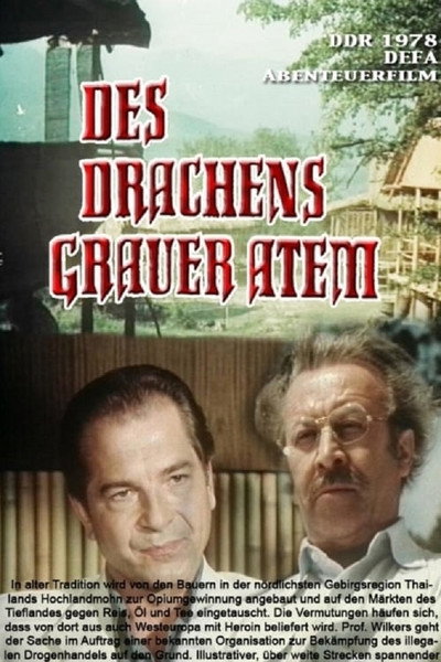 Póster de Des Drachens grauer Atem