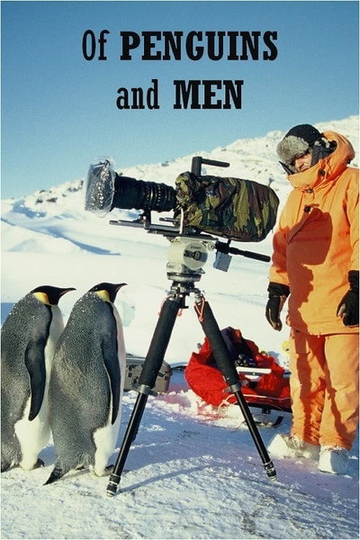 Póster de Des manchots et des hommes