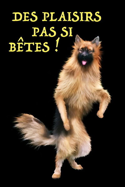 Póster de Des plaisirs pas si bêtes