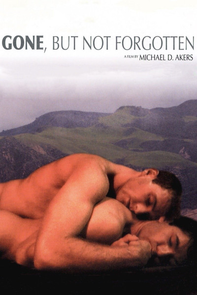 Póster de Desaparece pero no se olvida