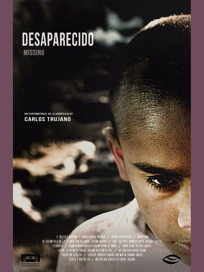 Póster de Desaparecido