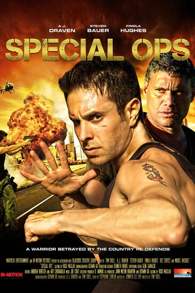 Póster de Desarmado