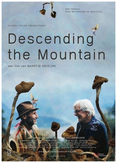 Póster de Descending the Mountain