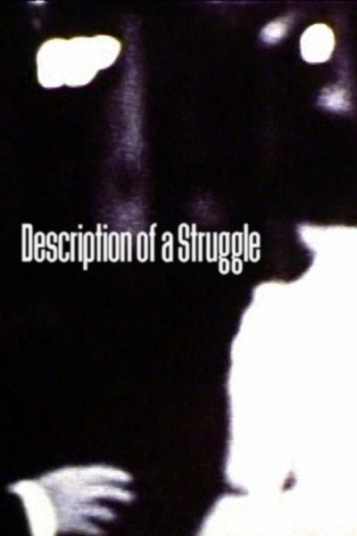 Póster de Description of a Struggle