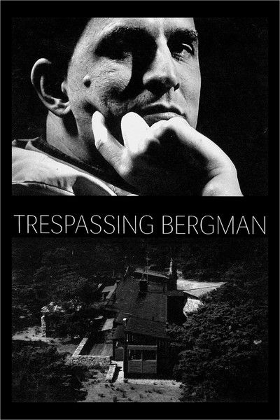 Póster de Descubriendo a Bergman