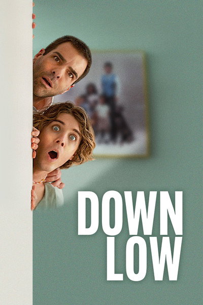Póster de Descubriéndome. Down Low