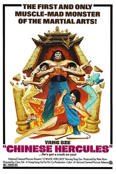 Póster de Desde China sin piedad