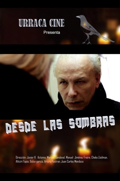 Póster de Desde las sombras