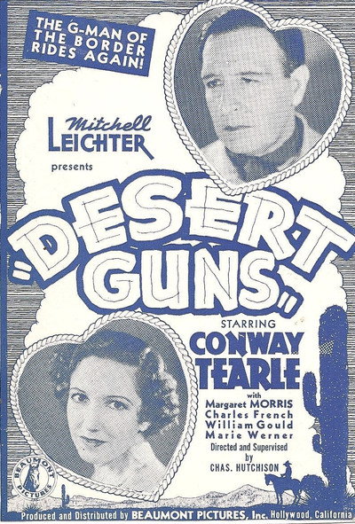 Póster de Desert Guns