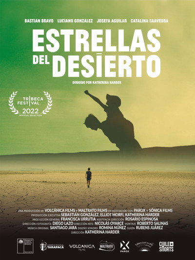 Póster de Desert Lights