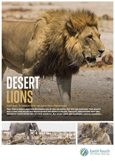 Póster de Desert Lions