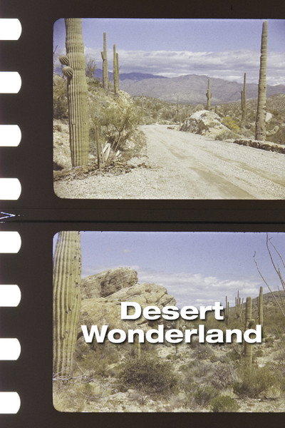 Póster de Desert Wonderland