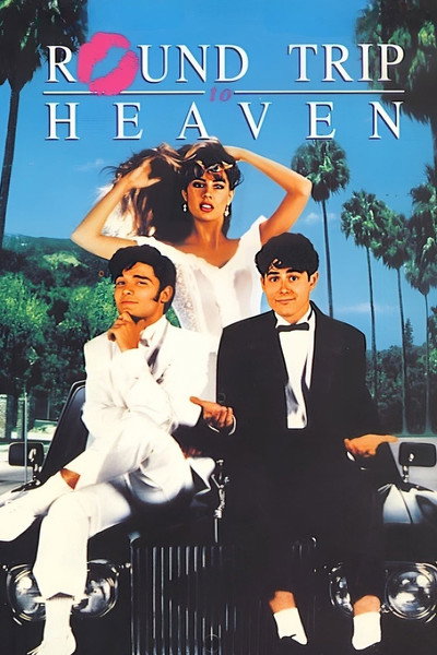 Póster de Desmadre en Palm Springs
