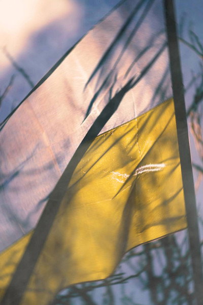 Póster de Despair and Defiance: The Battle for Ukraine