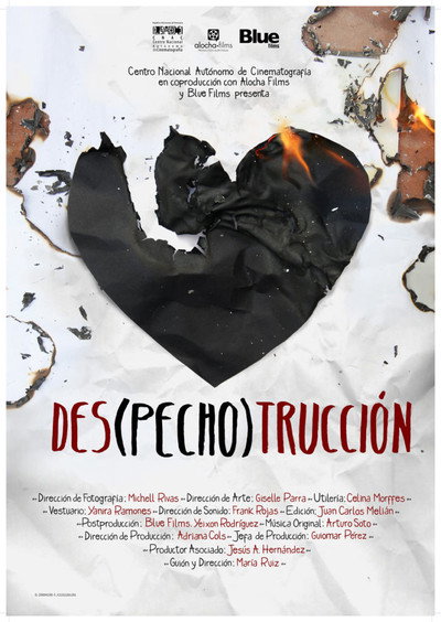 Póster de Des(pecho)trucción