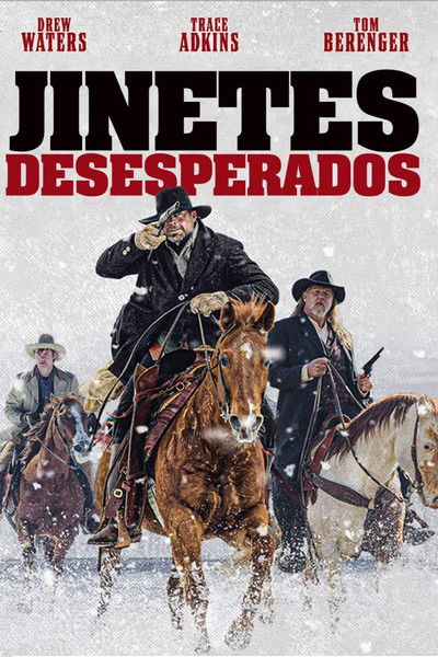 Póster de Desperate Riders