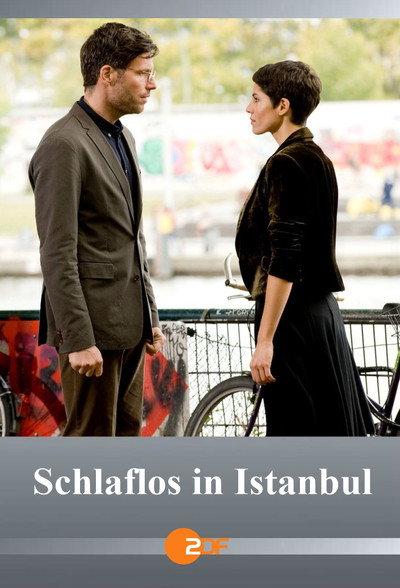 Póster de Despiertos en Estambul