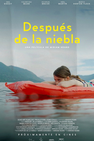 Póster de Después de la Niebla