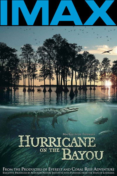 Póster de Después de la tormenta