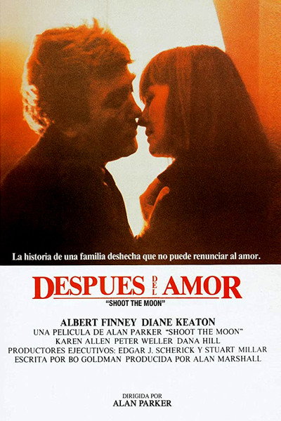 Póster de Después del amor