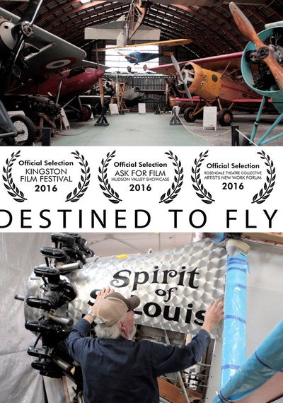 Póster de Destined to Fly